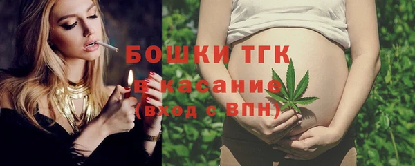 экстази Бородино