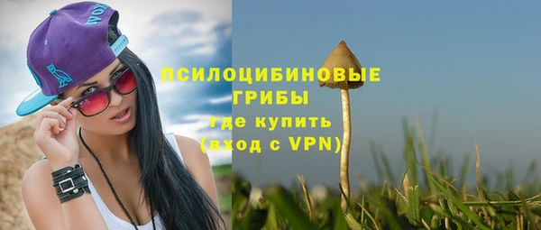 MDMA Premium VHQ Бронницы