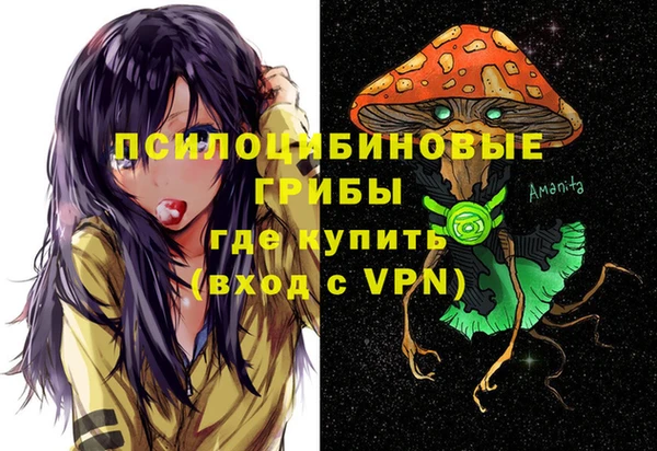 MDMA Premium VHQ Бронницы