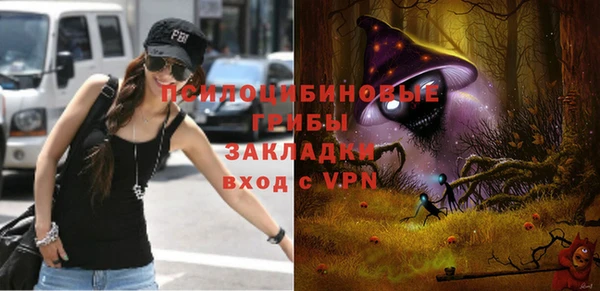 стаф Покачи
